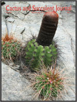 Cactus and Succulent Journal | Scholars Portal Journals